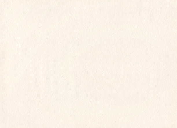 Seamless White Cartridge Paper Texture
