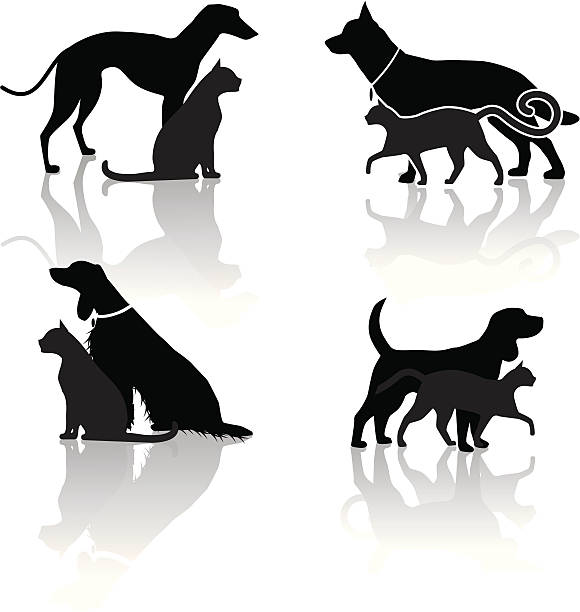 illustrations, cliparts, dessins animés et icônes de chien et chat icônes vétérinaires - dog greyhound whippet isolated