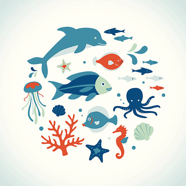 Coleção de criaturas do mar - ilustração de arte vetorial