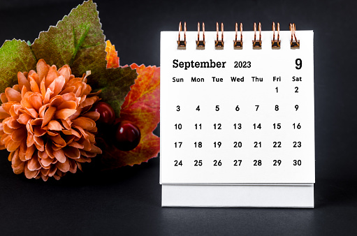 September 2023 Monthly desk calendar for 2023 year with dried flower on black background.