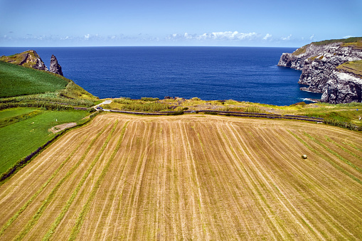Aerial view of coastal cultivated lands with hay bale. Atlantic Ocean and rocky coastline of Azores, Sao Miguel Island. Portugal
