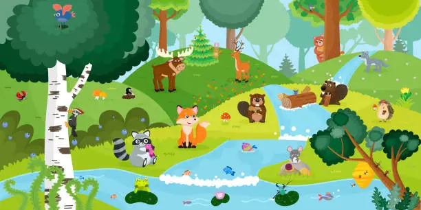 Vector illustration of Forest wild summer landscape, river, tree. Cartoon animals. Fox, raccoon, hedgehog, woodpecker, deer, beaver, bear, wolf, mouse, toad, mouse. Nature wildlife, woodland. Vector illustration.