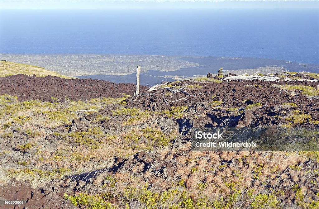 Old Lava Flow que conducen al mar - Foto de stock de Aire libre libre de derechos