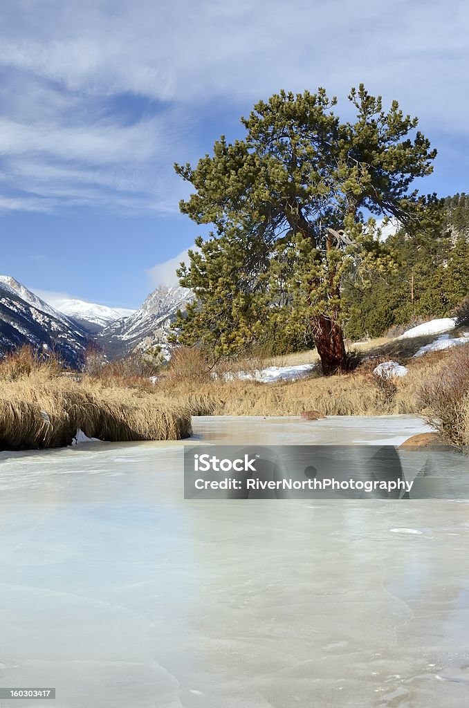 Rocky Mountain National Park no inverno - Foto de stock de Azul royalty-free