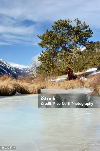 Foto de Rocky Mountain National Park No Inverno e mais fotos de stock de Azul - Azul, Beleza natural - Natureza, Cena de tranquilidade