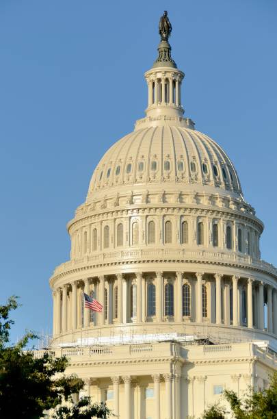 istock The Capitol Building Dome in Washington DC 160306085