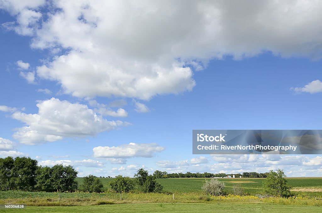 South Dakota Landscape Wide open spaces in the beautiful landscape of South Dakota. Agricultural Field Stock Photo