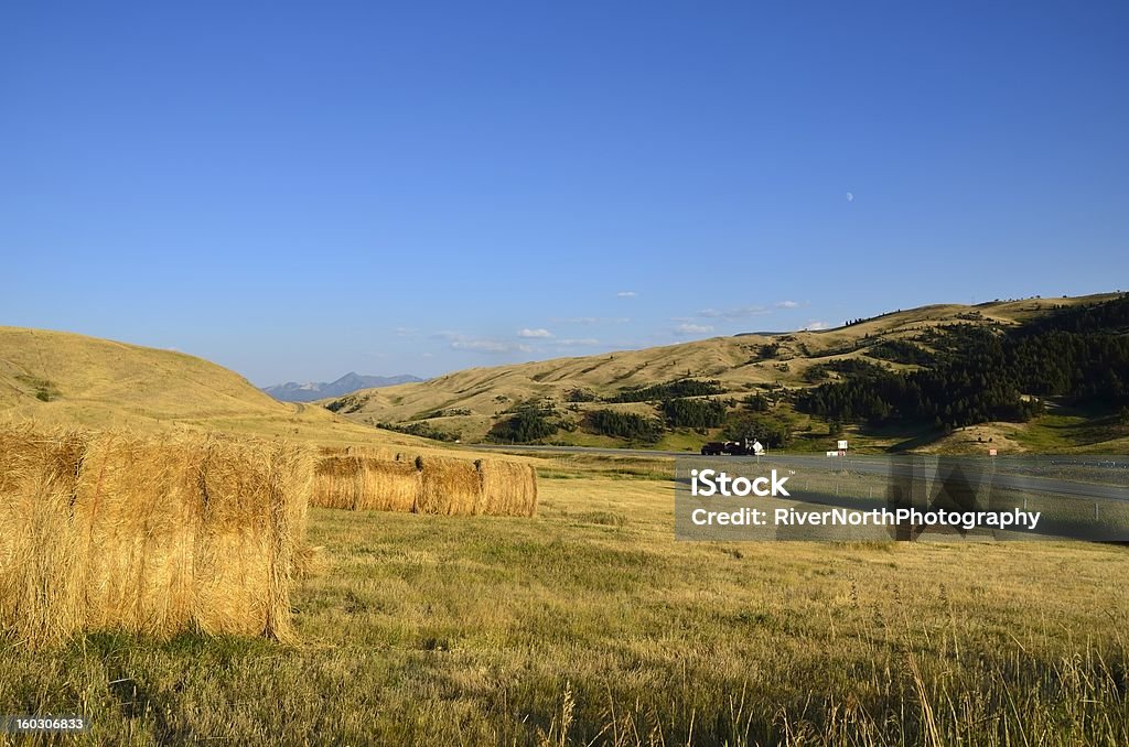 Paysage du Montana - Photo de Montana - Ouest Américain libre de droits