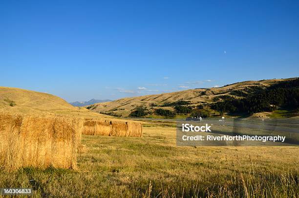 Photo libre de droit de Paysage Du Montana banque d'images et plus d'images libres de droit de Montana - Ouest Américain - Montana - Ouest Américain, Ranch, Agriculture