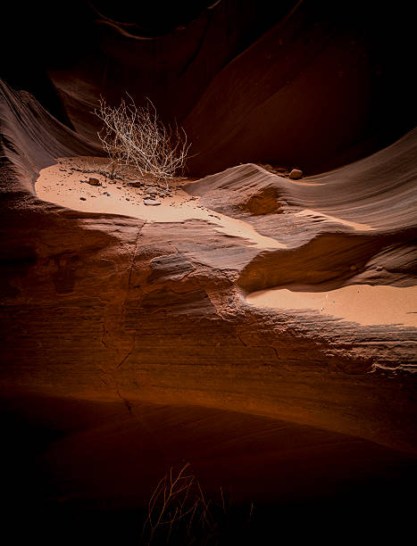 arenisca de erosión de agua en una ranura del cañón - antã­lope fotografías e imágenes de stock