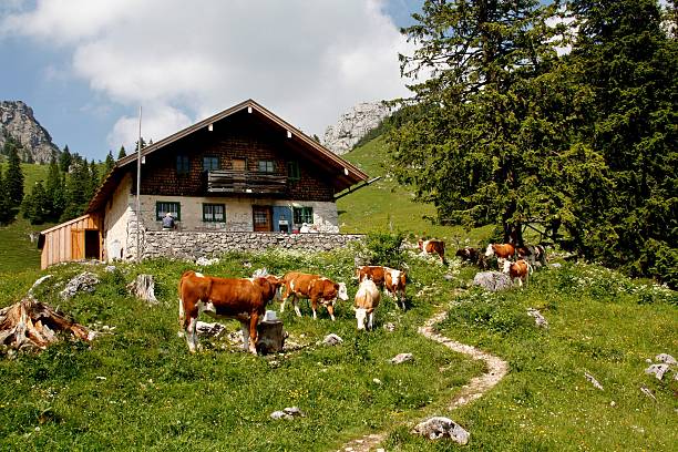 Hiking cottage in the bavarian mountains