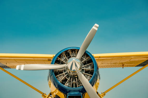 istock Radial Engine and Propeller of a High-Wing Aircraft 1603075875