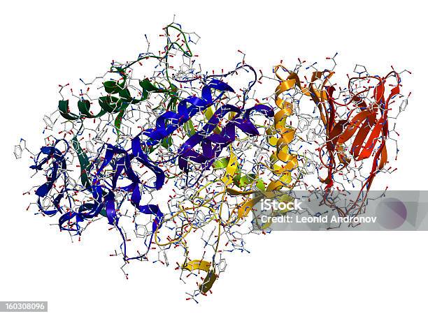 Enzima Alfaamilasi 3d Struttura Molecolare - Fotografie stock e altre immagini di Enzima - Enzima, Proteina, Tridimensionale