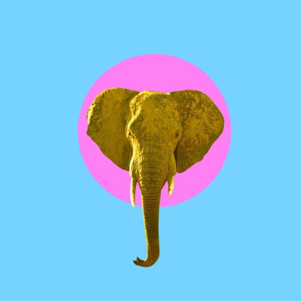 istock Creative modern art. Yellow elephant inside pink circle on blue background. 1603089389