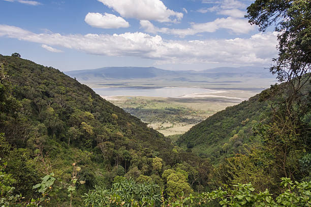 istock View on huge Ngorongoro caldera with large lake from cleft 160310290
