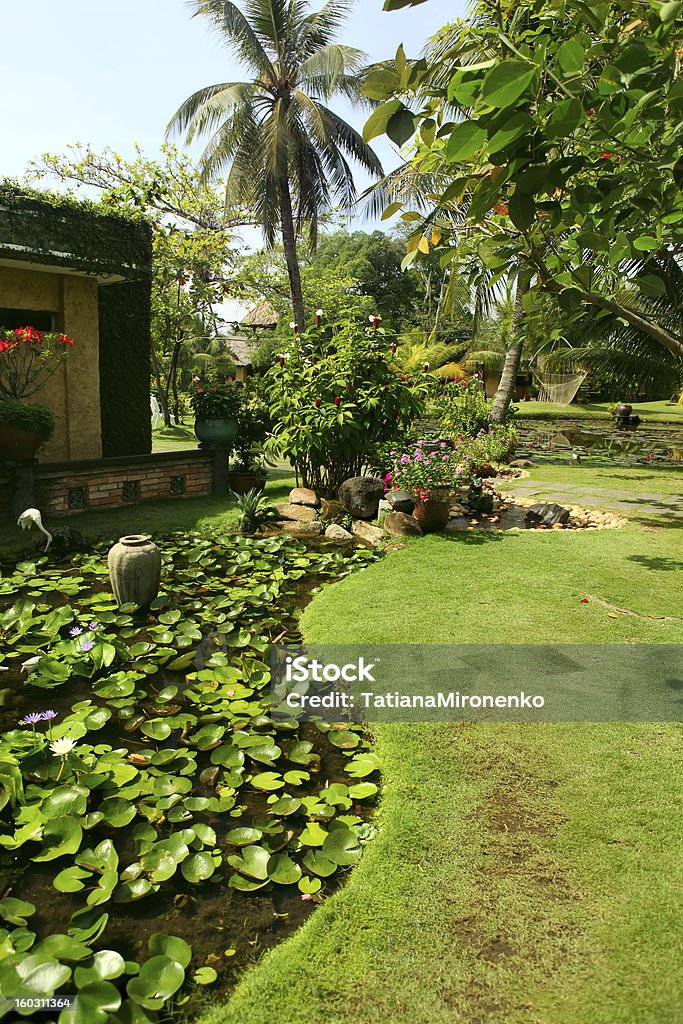 Belo jardim tropical - Foto de stock de Ajardinado royalty-free