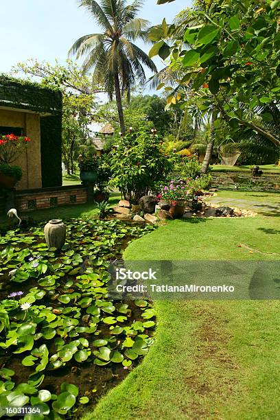 Foto de Belo Jardim Tropical e mais fotos de stock de Ajardinado - Ajardinado, Arbusto, Arquitetura