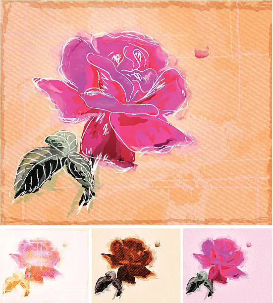 Vector illustration of Painting a Rose