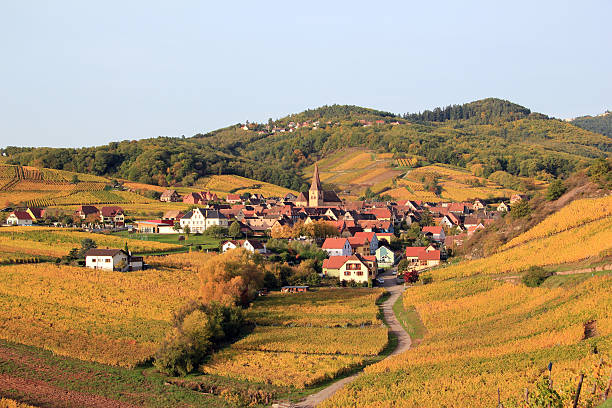 istock Niedermorschwihr 160312648