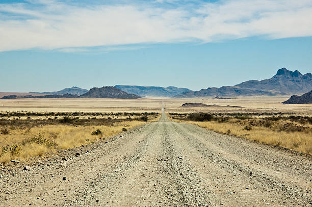 istock Namibian Gravelroad 160312895