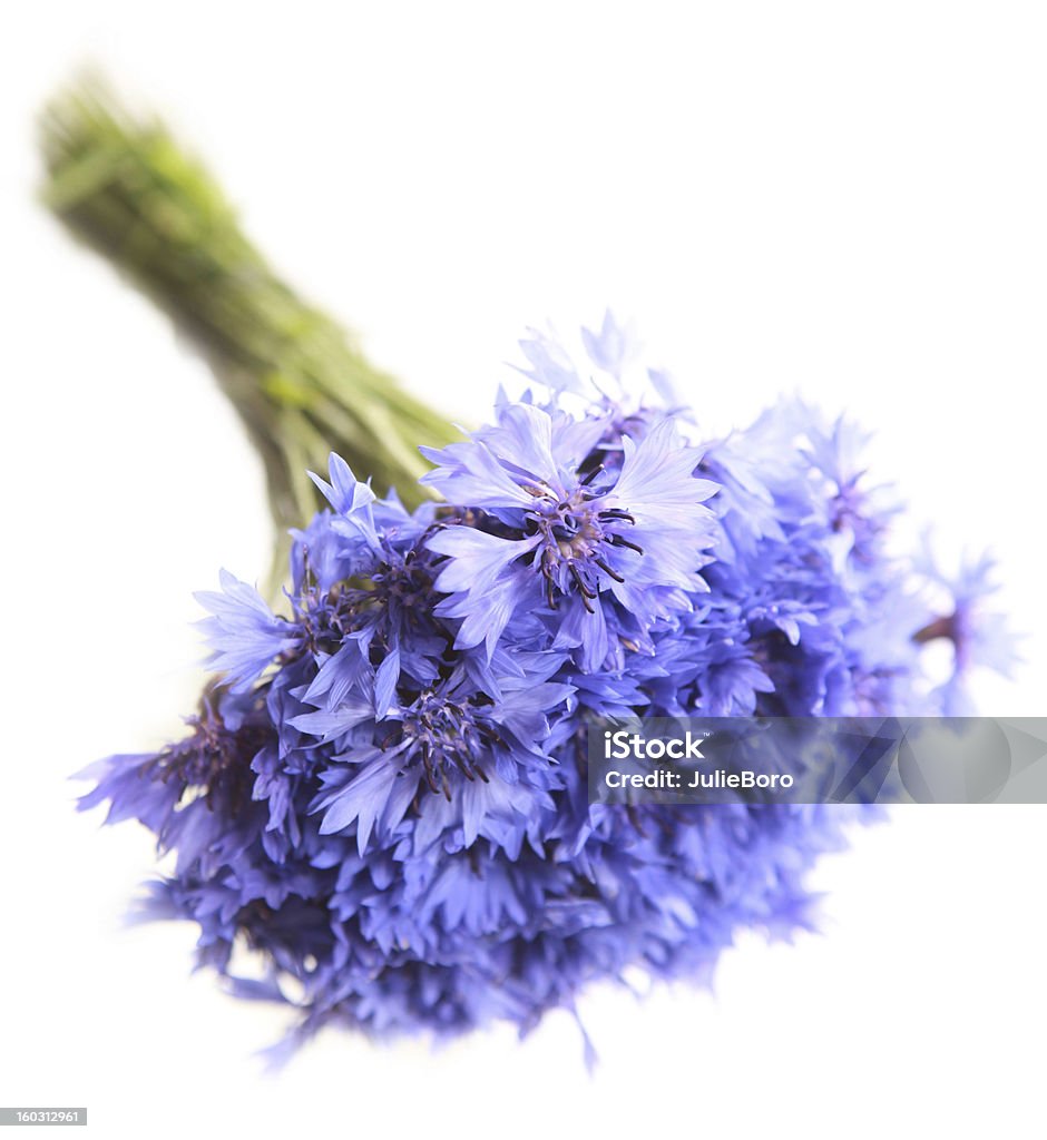 bouquet di cornflowers - Foto stock royalty-free di Ambientazione interna