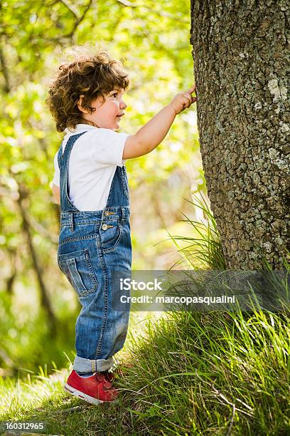 お子様はツリー - 2歳から3歳のストックフォトや画像を多数ご用意 - 2歳から3歳, まぶしい, オフショット