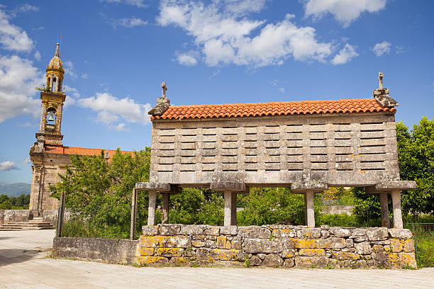 typowe galicyjski horreo (granary) - hórreos zdjęcia i obrazy z banku zdjęć