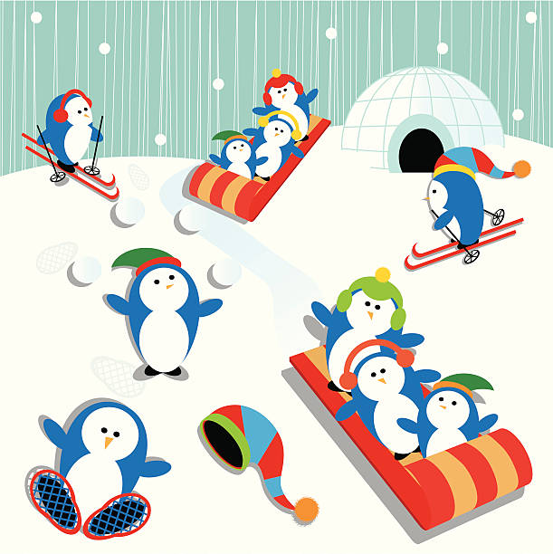 ilustraciones, imágenes clip art, dibujos animados e iconos de stock de pingüino de diversión - tobogganing vector winter snow