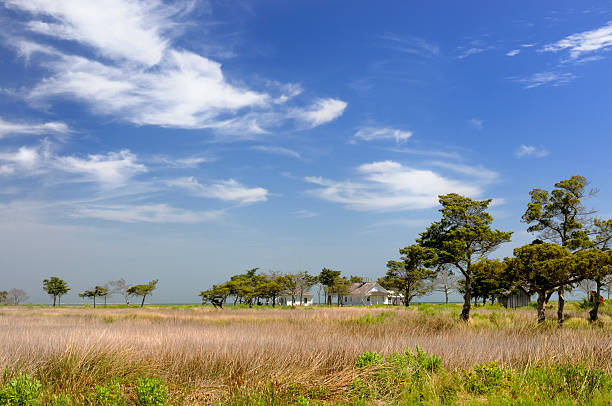 Dramatic sky and coastal area of Portsmouth Island, North Carolina.