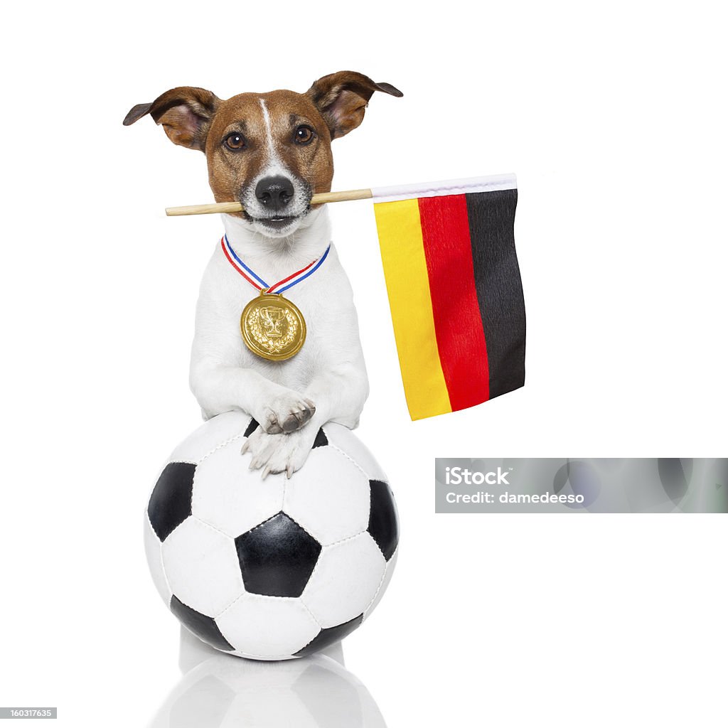 Chien comme soccer avec médaille et drapeau - Photo de Allemagne libre de droits