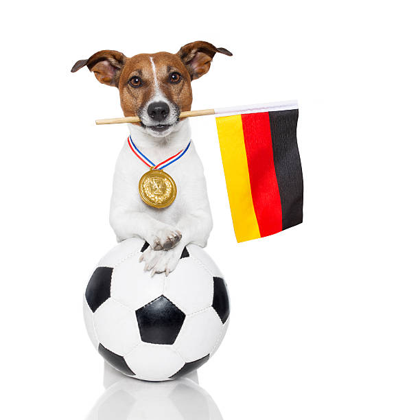 istock dog as soccer with medal and  flag 160317635
