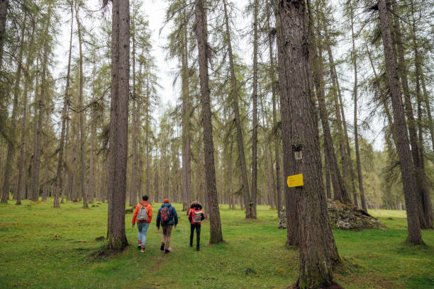 istock Hiking Through an Austrian Forest with my Partner and Friend 1603176435