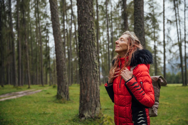 Amid an Austrian Larch woodland, a woman stands with closed eyes, absorbing nature's serenity. The towering Larch trees create a haven of calmness. Inhaling the forest's scents and feeling the leaves' gentle rustle, she takes a moment for herself. The woodland's embrace becomes her sanctuary, offering solace and rejuvenation for her mental wellbeing, as time seems to pause in this tranquil realm