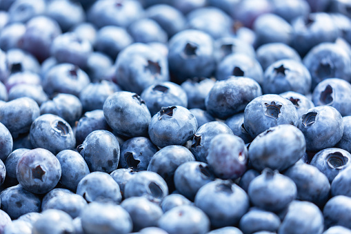 close up of fresh blueberries as background