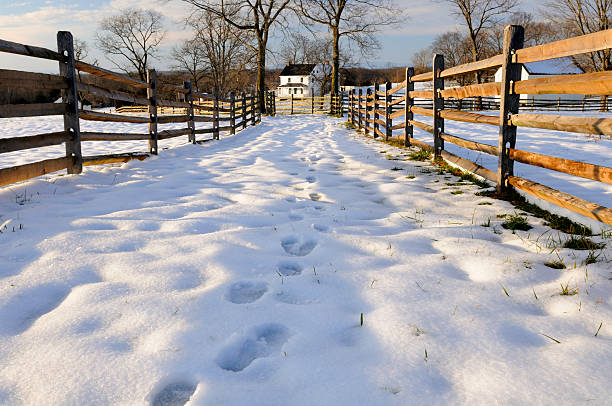 Snow covered lane leading to old farmhouse.