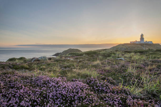istock Strumble Head Lighthouse, Pembrokeshire, Wales 1603195363