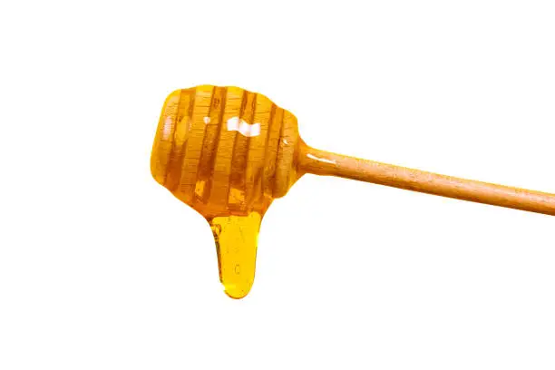 Honey dripping from honey dipper isolated on white background. Thick honey dipping from the wooden honey spoon. Healthy food and diet concept
