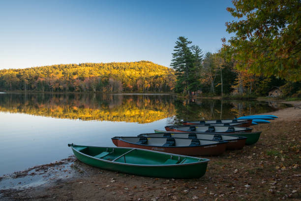 istock Water, Leaves and Canoes 1603202947