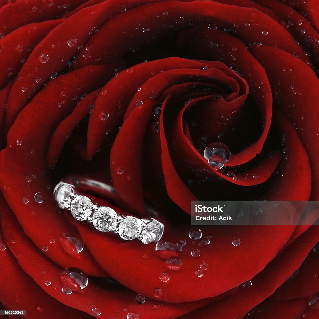 Rosa roja con diamante anillo en primer plano - Foto de stock de Joyas libre de derechos