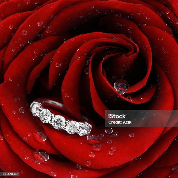 Rosa Roja Con Diamante Anillo En Primer Plano Foto de stock y más banco de imágenes de Joyas - Joyas, Rojo, Diamante
