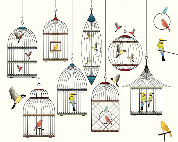collection se compose de cages oiseaux et - Illustration vectorielle