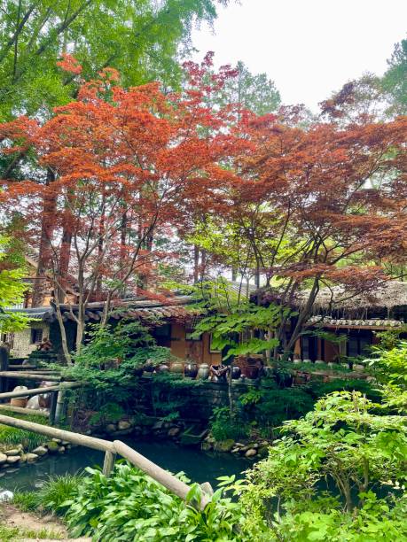 istock Autumn at Nami Island 1603209474