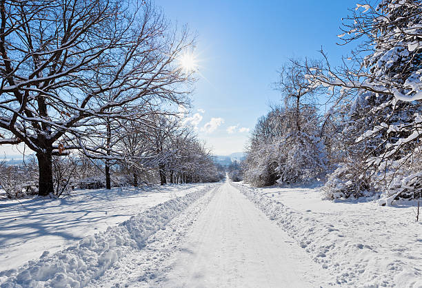 istock Winter road landscape with snow covered trees and bright sun 160321025