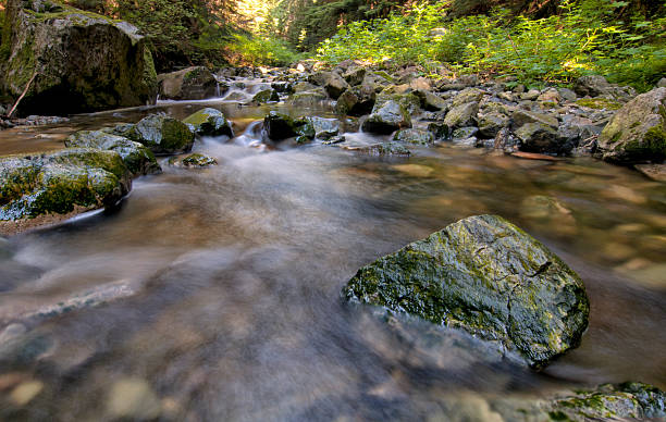 Green Rocks in Flowing Creek stock photo