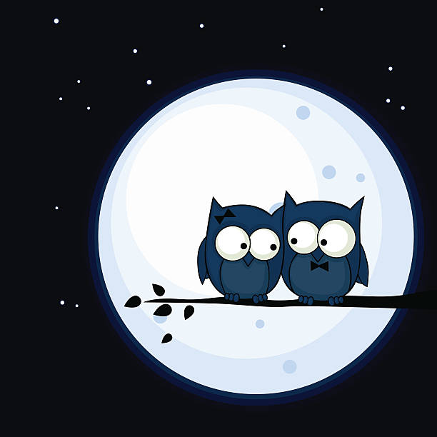 Owl Couple Cartoon-vektorgrafik och fler bilder på Alla hjärtans dag-kort -  Alla hjärtans dag-kort, Blå, Brud - iStock