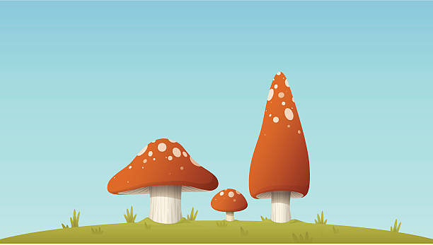 Três de cogumelos - ilustração de arte vetorial