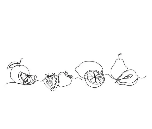 Vector illustration of Continuous one line drawing of fresh fruits. Citrus, lemon, apple, strawberry line art vector illustration.