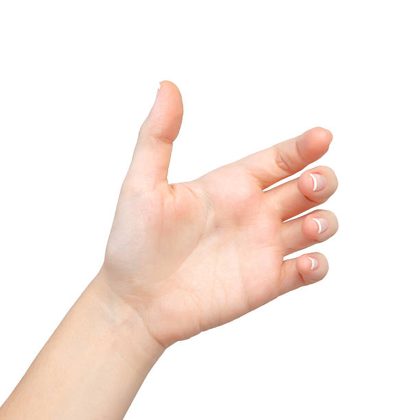 istock Isolated female hand palms held subject 160322989