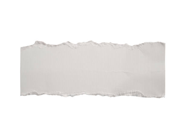 istock A piece of torn white paper 1603235072