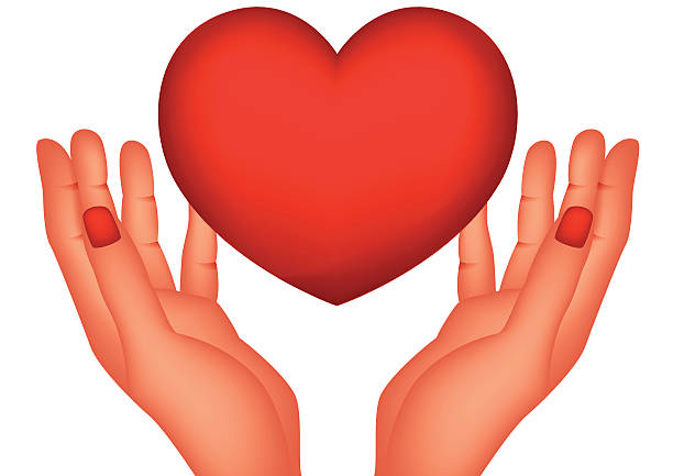 red heart and hands vector art illustration